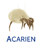 Acarien.info, produits de lutte contre les acariens